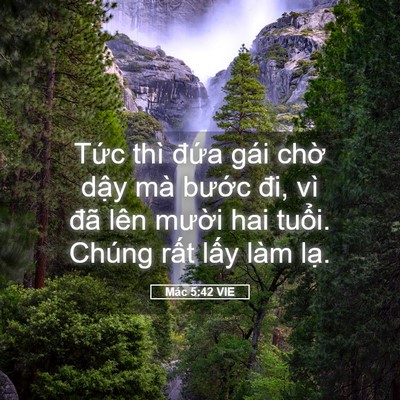 Picture 05 - Mác 5:42 VIE - Tức thì đứa gái chờ dậy mà bước - Bible Verse Picture