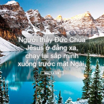 Picture 05 - Mác 5:6 VIE - Người thấy Đức Chúa Jêsus ở đằng - Bible Verse Picture