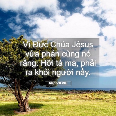 Picture 05 - Mác 5:8 VIE - Vì Đức Chúa Jêsus vừa phán cùng nó - Bible Verse Picture