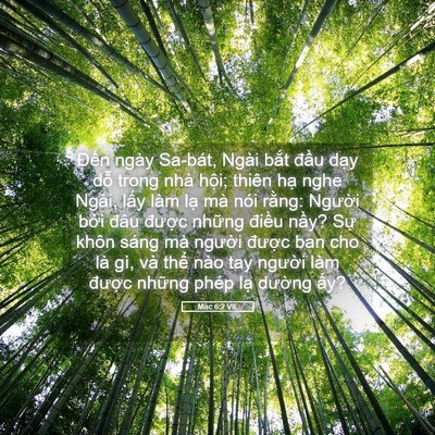 Picture 05 - Mác 6:2 VIE - Đến ngày Sa-bát, Ngài bắt đầu dạy - Bible Verse Picture