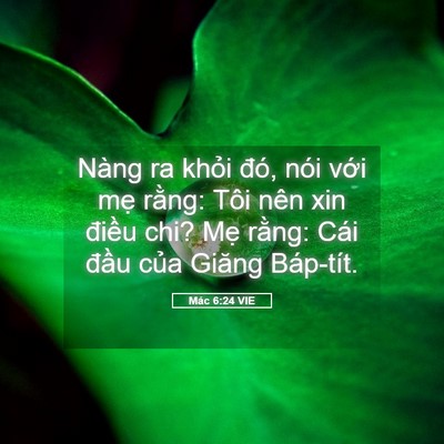 Picture 05 - Mác 6:24 VIE - Nàng ra khỏi đó, nói với mẹ rằng: - Bible Verse Picture
