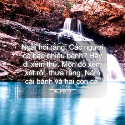Picture 05 - Mác 6:38 VIE - Ngài hỏi rằng: Các ngươi có bao nhiêu - Bible Verse Picture
