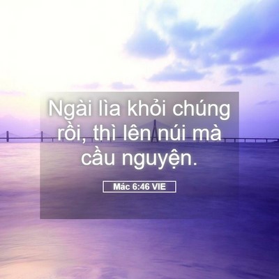 Picture 05 - Mác 6:46 VIE - Ngài lìa khỏi chúng rồi, thì lên núi - Bible Verse Picture