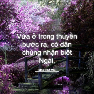 Picture 05 - Mác 6:54 VIE - Vừa ở trong thuyền bước ra, có dân - Bible Verse Picture