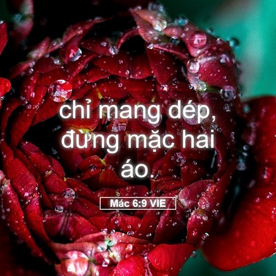 Picture 05 - Mác 6:9 VIE - chỉ mang dép, đừng mặc hai - Bible Verse Picture