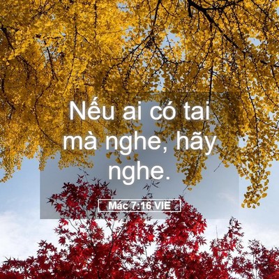 Picture 05 - Mác 7:16 VIE - Nếu ai có tai mà nghe, hãy - Bible Verse Picture