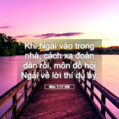 Picture 05 - Mác 7:17 VIE - Khi Ngài vào trong nhà, cách xa đoàn dân - Bible Verse Picture