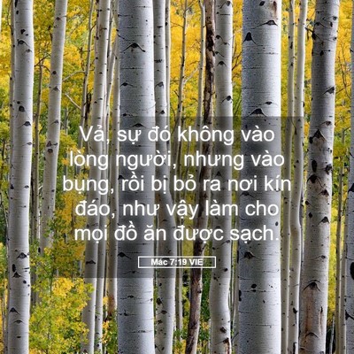 Picture 05 - Mác 7:19 VIE - Vả, sự đó không vào lòng người, - Bible Verse Picture