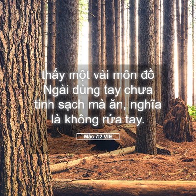 Picture 05 - Mác 7:2 VIE - thấy một vài môn đồ Ngài dùng tay - Bible Verse Picture