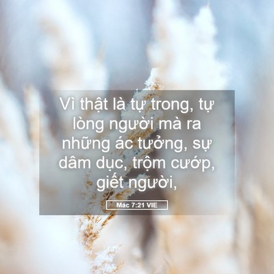 Picture 05 - Mác 7:21 VIE - Vì thật là tự trong, tự lòng người - Bible Verse Picture