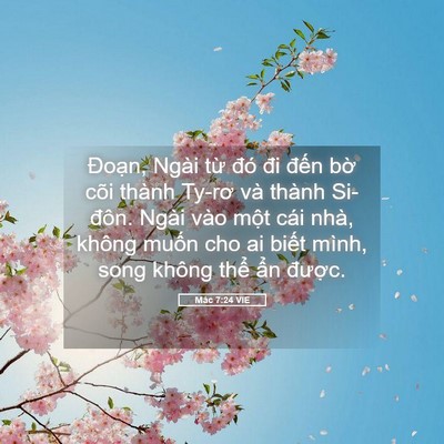 Picture 05 - Mác 7:24 VIE - Đoạn, Ngài từ đó đi đến bờ cõi - Bible Verse Picture