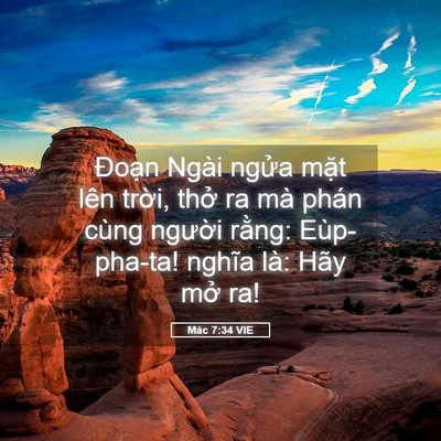 Picture 05 - Mác 7:34 VIE - Đoạn Ngài ngửa mặt lên trời, thở ra - Bible Verse Picture