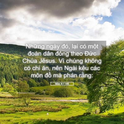 Picture 05 - Mác 8:1 VIE - Những ngày đó, lại có một đoàn dân - Bible Verse Picture