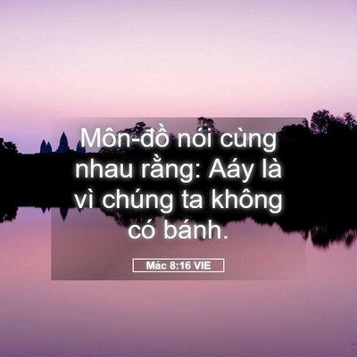 Picture 05 - Mác 8:16 VIE - Môn-đồ nói cùng nhau rằng: Aáy là vì - Bible Verse Picture