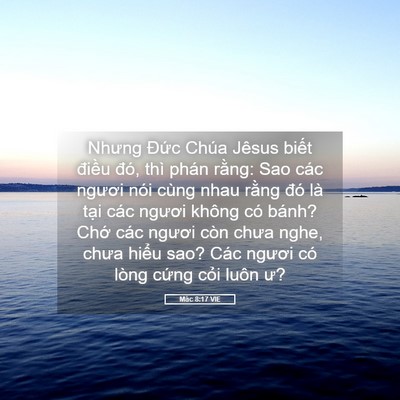Picture 05 - Mác 8:17 VIE - Nhưng Đức Chúa Jêsus biết điều đó, - Bible Verse Picture