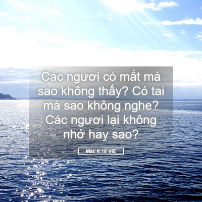 Picture 05 - Mác 8:18 VIE - Các ngươi có mắt mà sao không thấy? Có - Bible Verse Picture