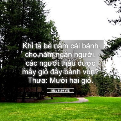 Picture 05 - Mác 8:19 VIE - Khi ta bẻ năm cái bánh cho năm ngàn - Bible Verse Picture