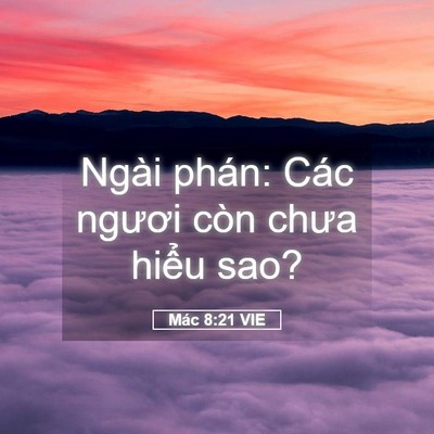 Picture 05 - Mác 8:21 VIE - Ngài phán: Các ngươi còn chưa hiểu - Bible Verse Picture