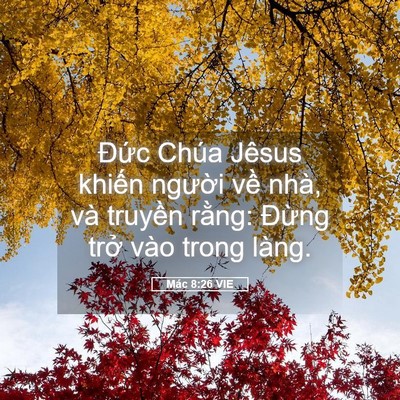 Picture 05 - Mác 8:26 VIE - Đức Chúa Jêsus khiến người về nhà, - Bible Verse Picture