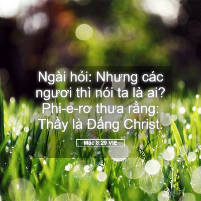 Picture 05 - Mác 8:29 VIE - Ngài hỏi: Nhưng các ngươi thì nói ta là - Bible Verse Picture