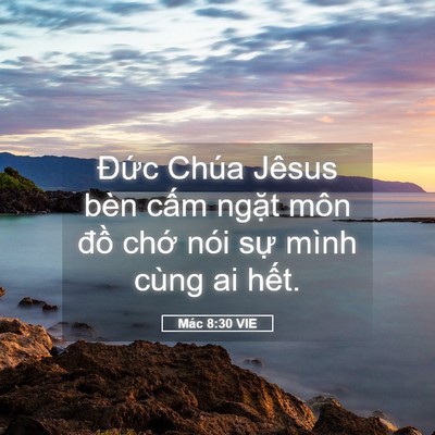 Picture 05 - Mác 8:30 VIE - Đức Chúa Jêsus bèn cấm ngặt môn đồ - Bible Verse Picture