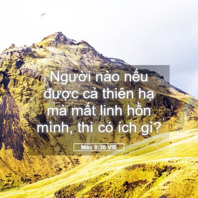 Picture 05 - Mác 8:36 VIE - Người nào nếu được cả thiên hạ mà - Bible Verse Picture