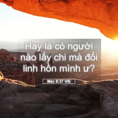 Picture 05 - Mác 8:37 VIE - Hay là có người nào lấy chi mà đổi - Bible Verse Picture