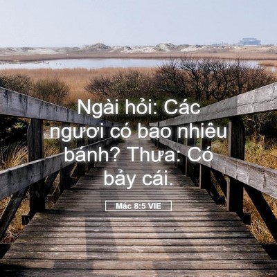 Picture 05 - Mác 8:5 VIE - Ngài hỏi: Các ngươi có bao nhiêu bánh? - Bible Verse Picture