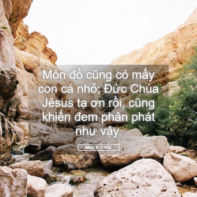 Picture 05 - Mác 8:7 VIE - Môn đồ cũng có mấy con cá nhỏ; Đức - Bible Verse Picture