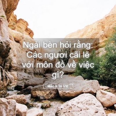Picture 05 - Mác 9:16 VIE - Ngài bèn hỏi rằng: Các ngươi cãi lẽ - Bible Verse Picture
