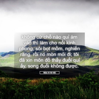 Picture 05 - Mác 9:18 VIE - không cứ chỗ nào quỉ ám vào thì làm - Bible Verse Picture