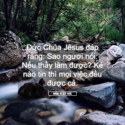 Picture 05 - Mác 9:23 VIE - Đức Chúa Jêsus đáp rằng: Sao ngươi - Bible Verse Picture