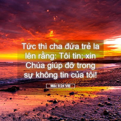 Picture 05 - Mác 9:24 VIE - Tức thì cha đứa trẻ la lên rằng: Tôi - Bible Verse Picture