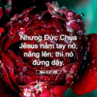 Picture 05 - Mác 9:27 VIE - Nhưng Đức Chúa Jêsus nắm tay nó, nâng - Bible Verse Picture