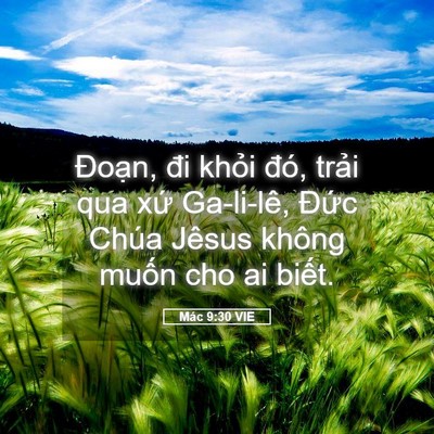 Picture 05 - Mác 9:30 VIE - Đoạn, đi khỏi đó, trải qua xứ - Bible Verse Picture
