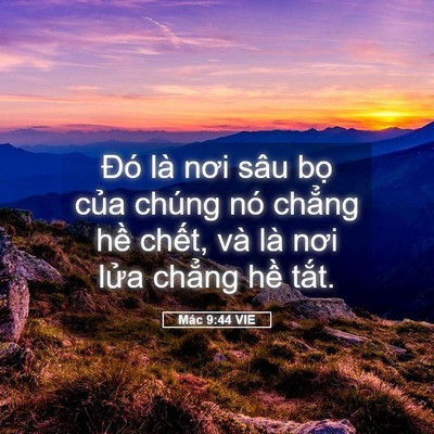 Picture 05 - Mác 9:44 VIE - Đó là nơi sâu bọ của chúng nó chẳng - Bible Verse Picture