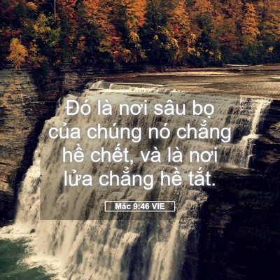Picture 05 - Mác 9:46 VIE - Đó là nơi sâu bọ của chúng nó chẳng - Bible Verse Picture