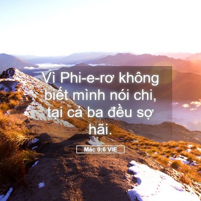 Picture 05 - Mác 9:6 VIE - Vì Phi-e-rơ không biết mình nói chi, tại - Bible Verse Picture