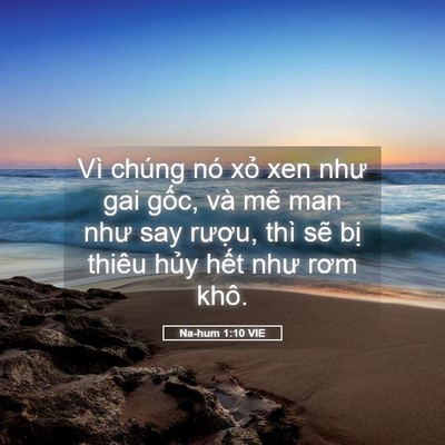 Picture 05 - Na-hum 1:10 VIE - Vì chúng nó xỏ xen như gai gốc, và mê - Bible Verse Picture