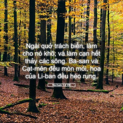 Picture 05 - Na-hum 1:4 VIE - Ngài quở trách biển, làm cho nó khô; và - Bible Verse Picture