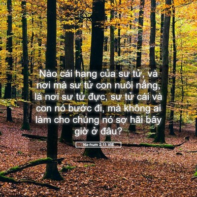 Picture 05 - Na-hum 2:11 VIE - Nào cái hang của sư tử, và nơi mà sư - Bible Verse Picture