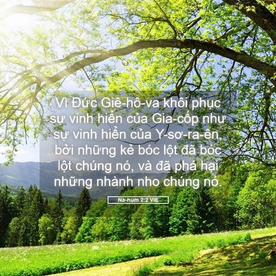 Picture 05 - Na-hum 2:2 VIE - Vì Đức Giê-hô-va khôi phục sự vinh - Bible Verse Picture