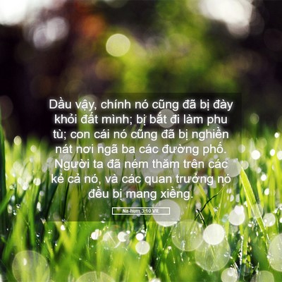 Picture 05 - Na-hum 3:10 VIE - Dầu vậy, chính nó cũng đã bị đày - Bible Verse Picture