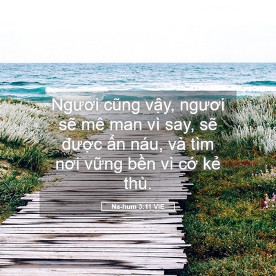 Picture 05 - Na-hum 3:11 VIE - Ngươi cũng vậy, ngươi sẽ mê man vì - Bible Verse Picture