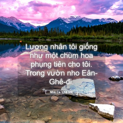 Picture 05 - Nhã Ca 1:14 VIE - Lương nhân tôi giống như một chùm hoa - Bible Verse Picture