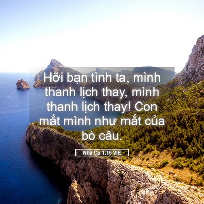 Picture 05 - Nhã Ca 1:15 VIE - Hỡi bạn tình ta, mình thanh lịch thay, - Bible Verse Picture