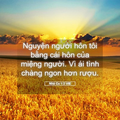 Picture 05 - Nhã Ca 1:2 VIE - Nguyện người hôn tôi bằng cái hôn - Bible Verse Picture