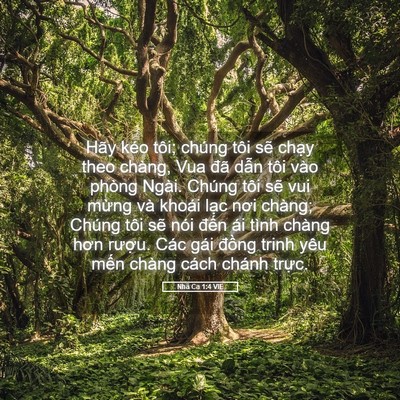 Picture 05 - Nhã Ca 1:4 VIE - Hãy kéo tôi; chúng tôi sẽ chạy theo - Bible Verse Picture
