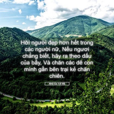 Picture 05 - Nhã Ca 1:8 VIE - Hỡi người đẹp hơn hết trong các - Bible Verse Picture