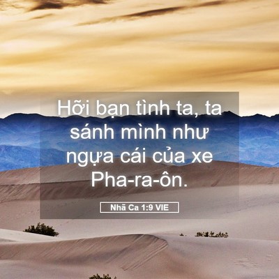 Picture 05 - Nhã Ca 1:9 VIE - Hỡi bạn tình ta, ta sánh mình như ngựa - Bible Verse Picture